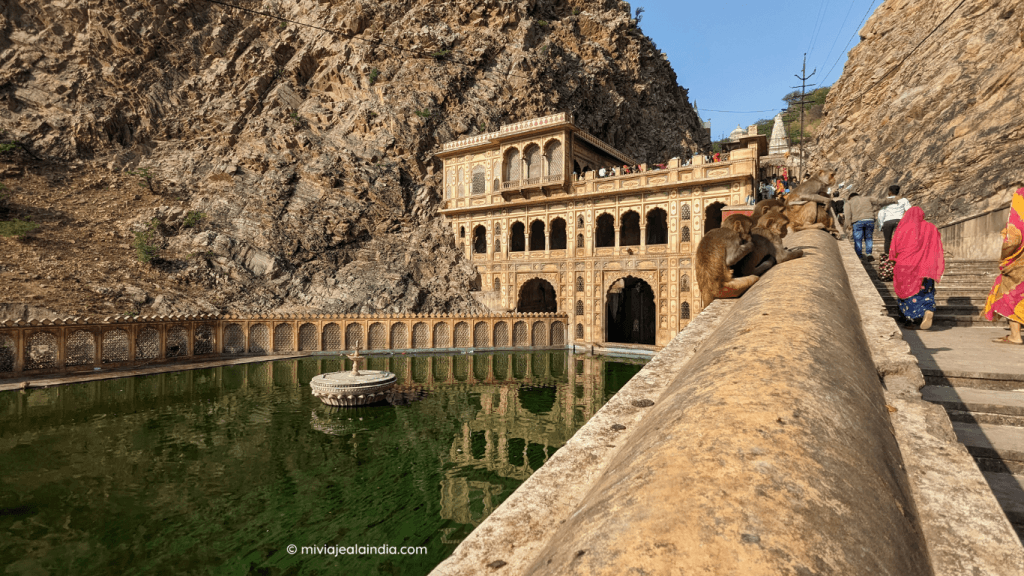 Galtaji Monkey Temple in Jaipur